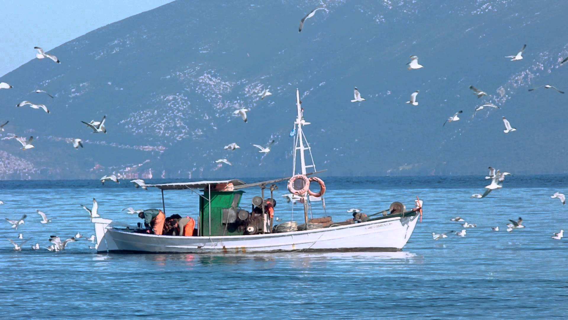 https://permissos.gr/