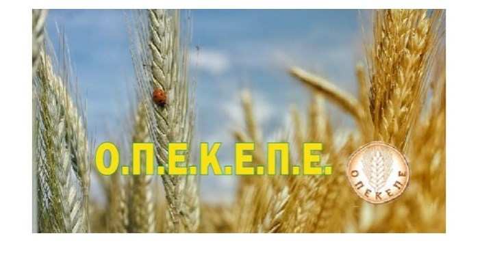 permissos.gr