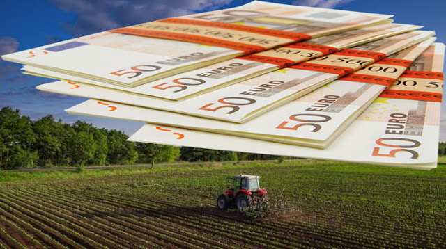 agrotes permissos