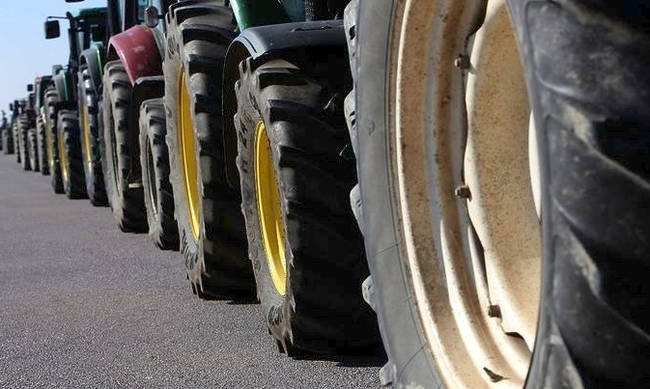 agrotes