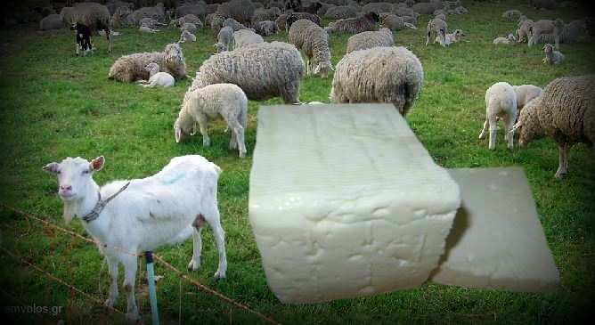 ktinotrofoi viotia