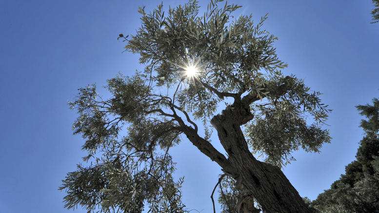 καιροσ ζεστη