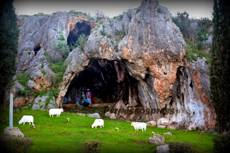φατνη αλιαρτου