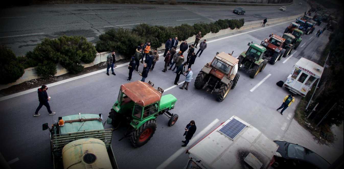agrotes-mploka