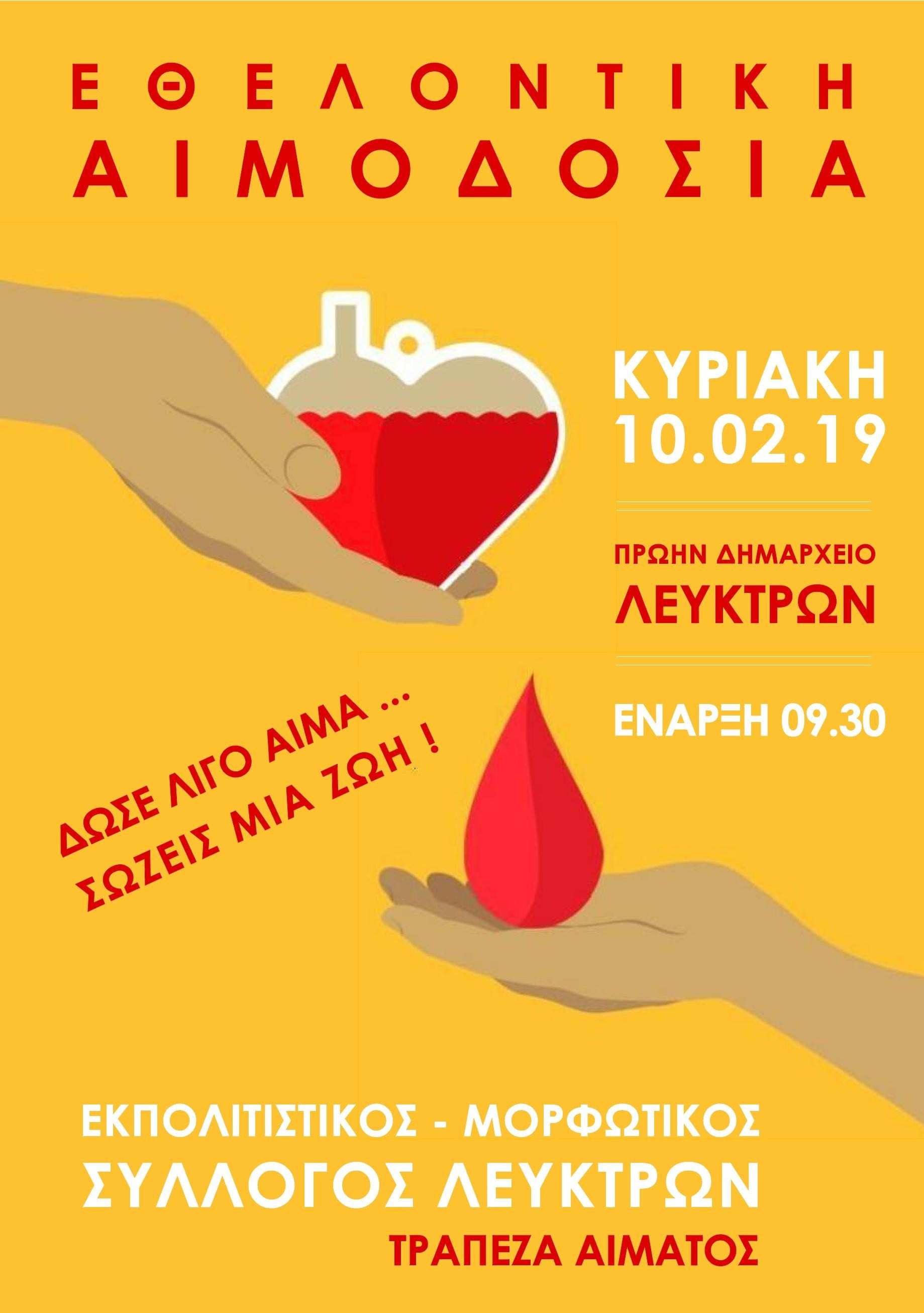aimodosia leyktra