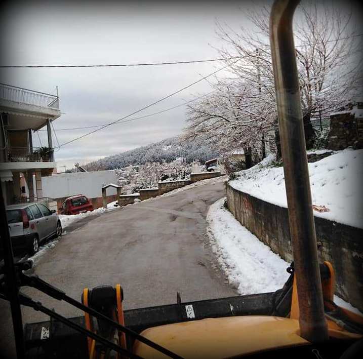 dimos levadeon