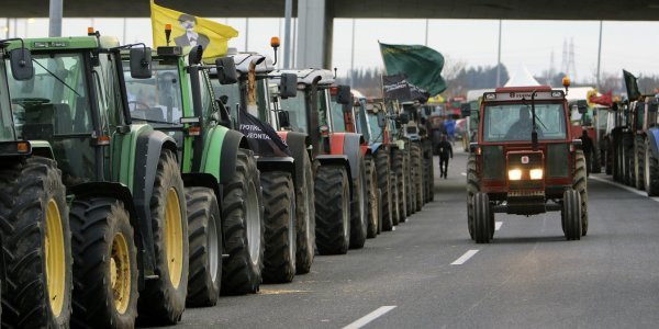 agrotes-bloka