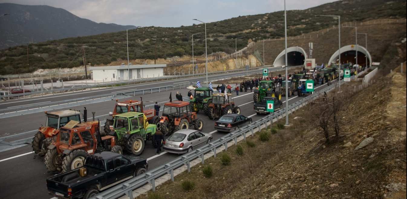 agrotes mploka
