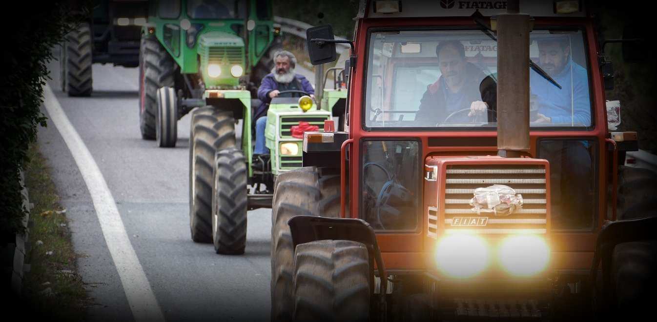 agrotes-mploka