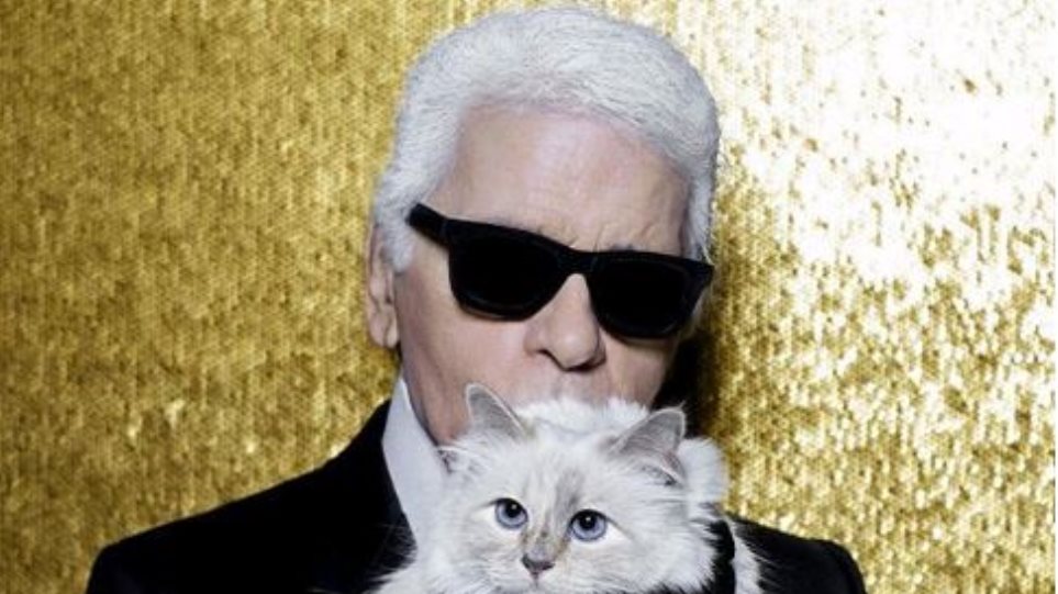 karl-gata-ena