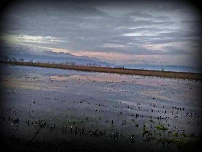 kopaida-zimies-agrotes