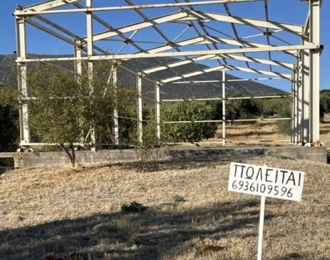 Πωλείται οικόπεδο 900 τ.μ. 35.000 ευρώ με σιδηροκατασκευή στην Ξηρονομή Θηβών(ΦΩΤΟ)