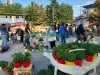 Στις 23 Μαΐου η 3η Ανθοκομική έκθεση του Συλλόγου Γονέων και Κηδεμόνων Δημοτικού-Νηπιαγωγείου Θεσπιών