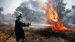 Υψηλός κίνδυνος πυρκαγιάς σήμερα σε Βοιωτία Στερεά Ελλάδα