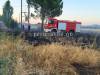 Φωτιά στον καταυλισμό του Αγίου Αθανασίου στην Αλίαρτο – Η έγκαιρη επέμβαση απέτρεψε τα χειρότερα-ΒΙΝΤΕΟ