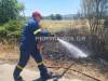 Διπλό πρόστιμο στη Βοιωτία για καύση ξηρών χόρτων