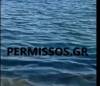 Καρχαρίας εμφανίστηκε στην παραλία Σαράντη Βοιωτίας – Αναστάτωση στους λουόμενους- ΒΙΝΤΕΟ